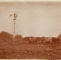 Omc1985.008.189 Image 600dpi